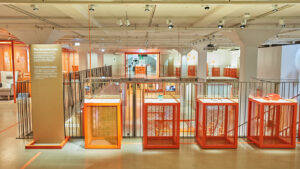 Photo of the Uncomfortable in the IKEA museum